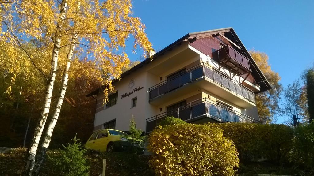 Willa Pod Orlem Szczyrk Exteriör bild